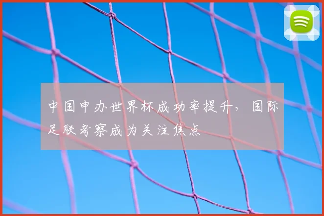 中国申办世界杯成功率提升，国际足联考察成为关注焦点