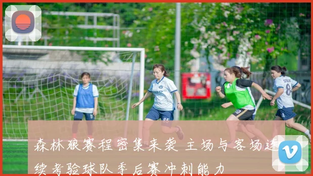 森林狼赛程密集来袭 主场与客场连续考验球队季后赛冲刺能力