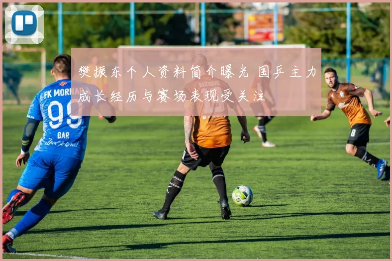 樊振东个人资料简介曝光 国乒主力成长经历与赛场表现受关注